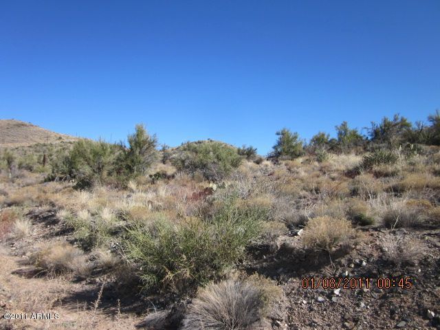0 North Ruger Ranch, Unit 25 Kirkland, AZ 86332 - Photo 6 of 13 Lush Vegetation