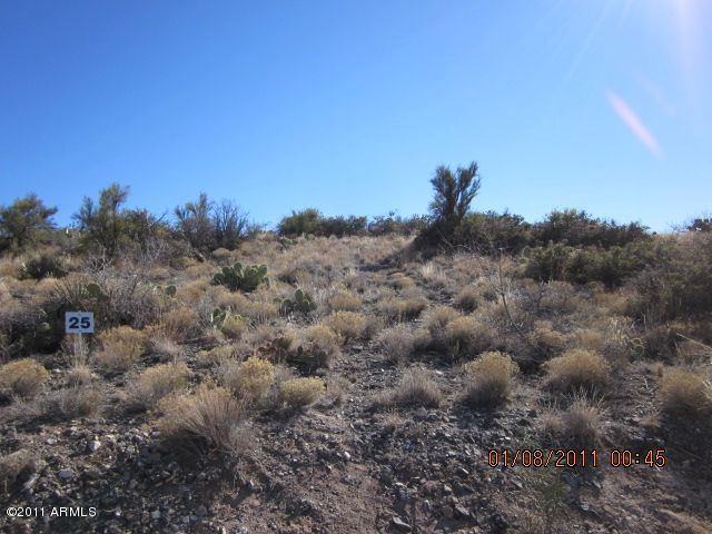 0 North Ruger Ranch, Unit 25 Kirkland, AZ 86332 - Photo 7 of 13 Look for Lot 25