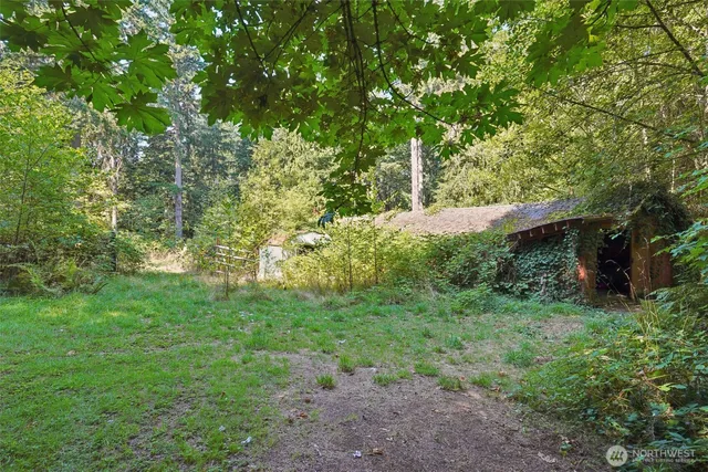 a view of a lush green forest