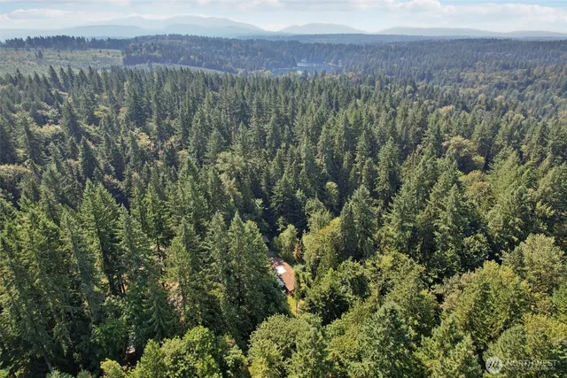 a view of a city with lush green forest
