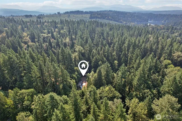 a view of a trees and a lush green forest