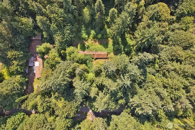 a backyard of a house with lots of green space and garden
