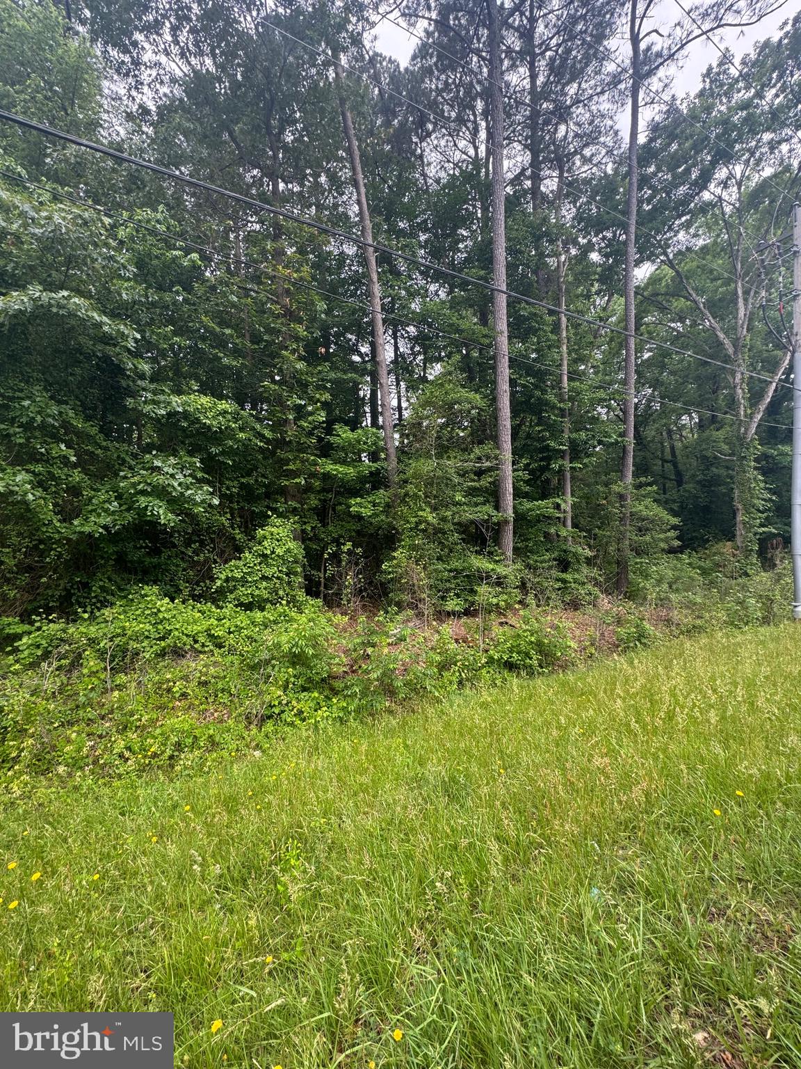 Whirlwind Road Leonardtown, MD 20650 - Photo 2 of 2