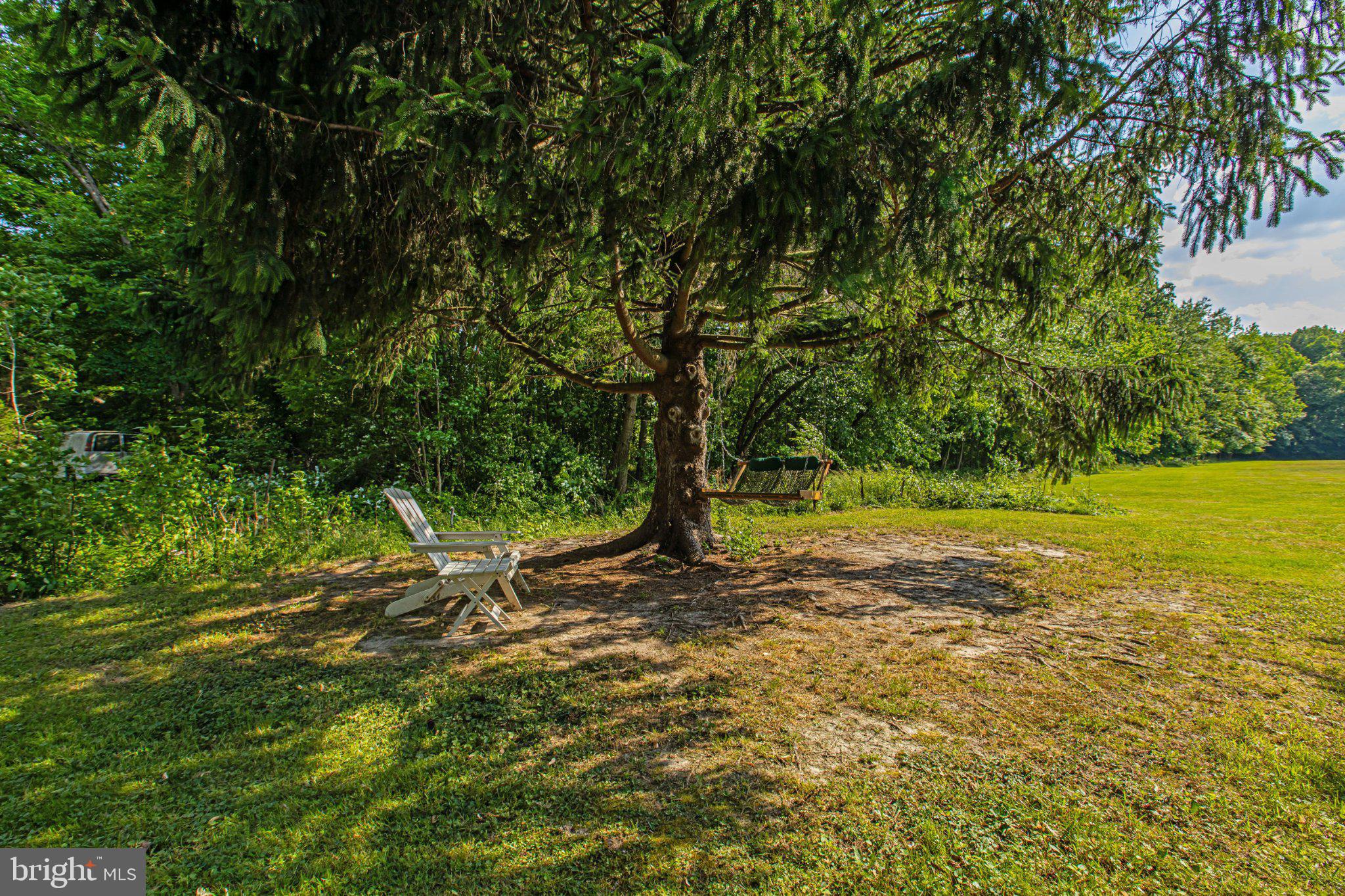 310 Dogtown Road Townsend, DE 19734 - Photo 35 of 43 Tranquil shade beneath a grand tree.