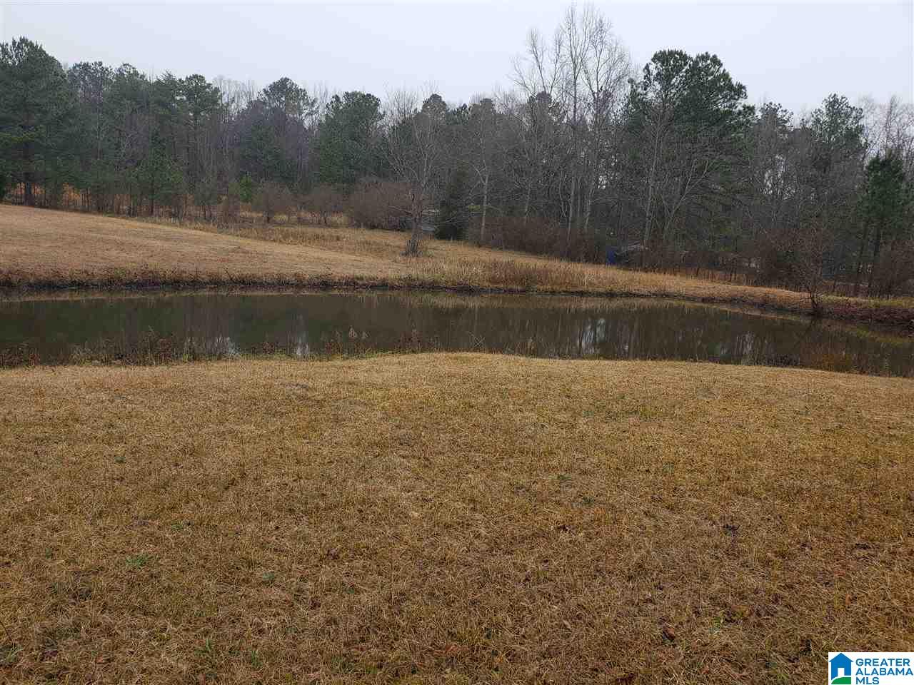 1715 County Road 33 Calera, AL 35040 - Photo 4 of 21