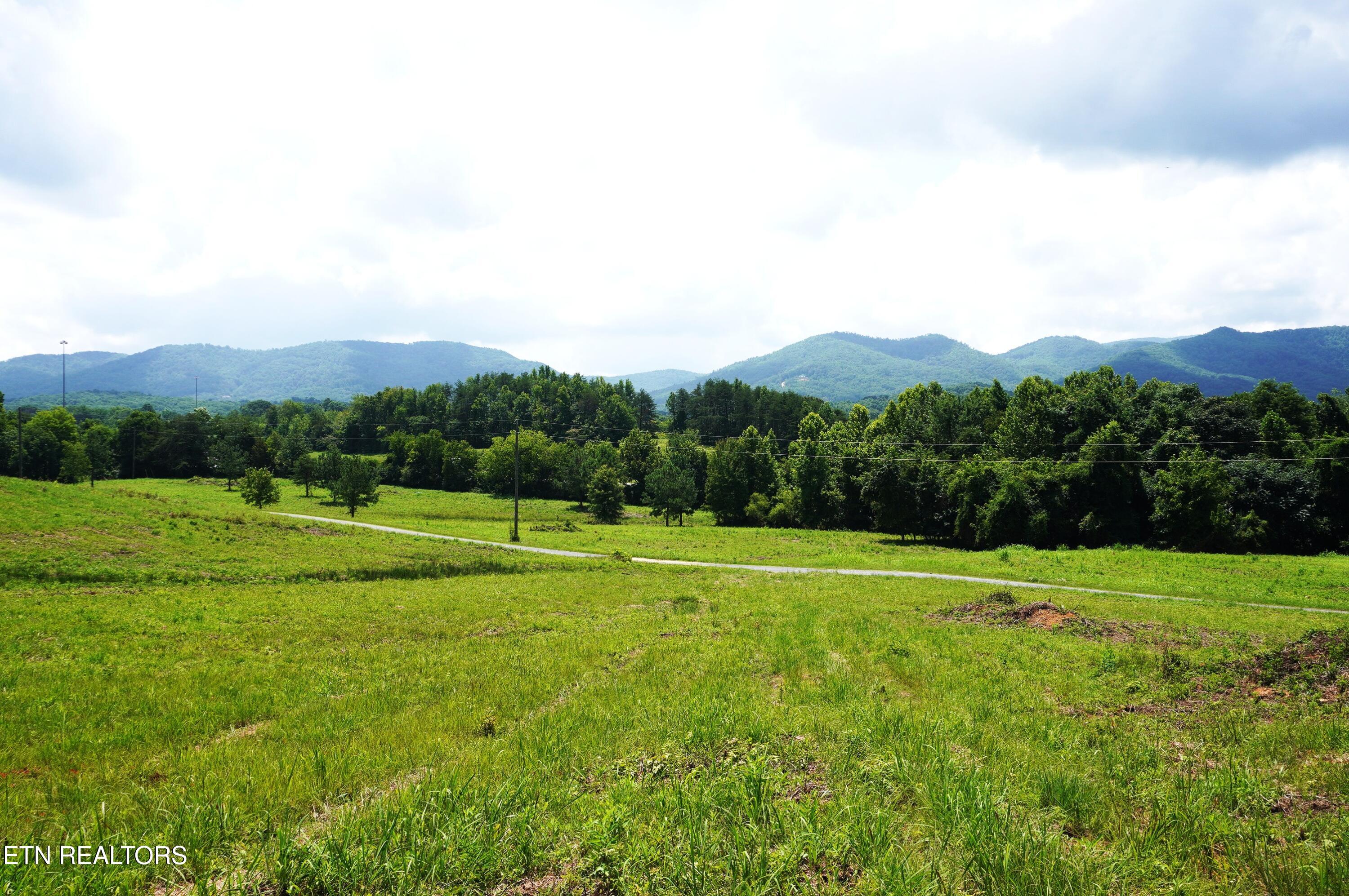 0 Rhyne Camp Road Newport, TN 37821 - Photo 3 of 19 camp rhyne rd (17)
