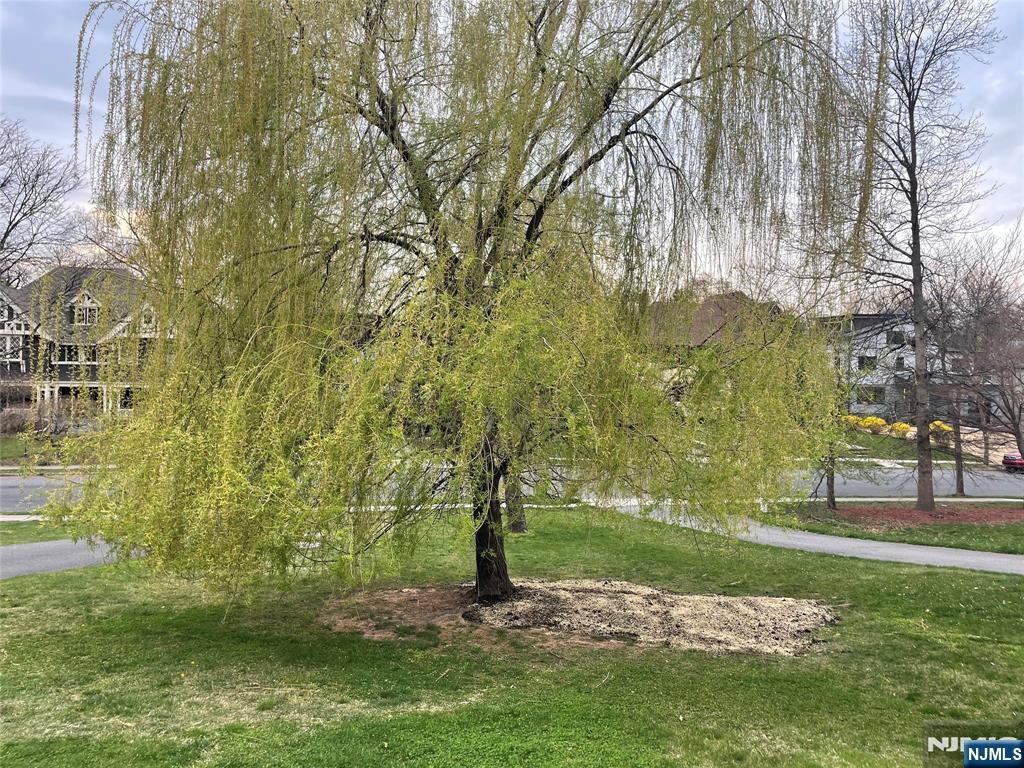 8 Madison Avenue Montclair, NJ 07042 - Photo 40 of 47