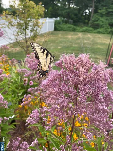 $1,280,000 | 8 Madison Avenue, Montclair, NJ 07042