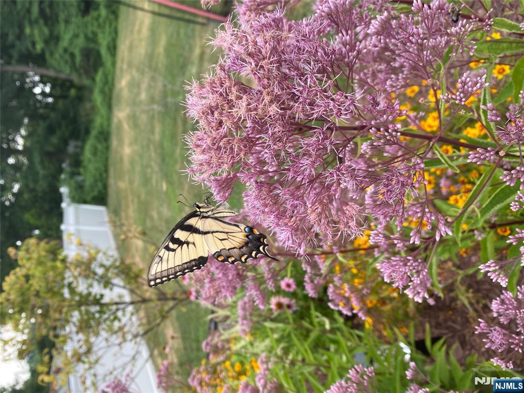 8 Madison Avenue Montclair, NJ 07042 - Photo 44 of 47