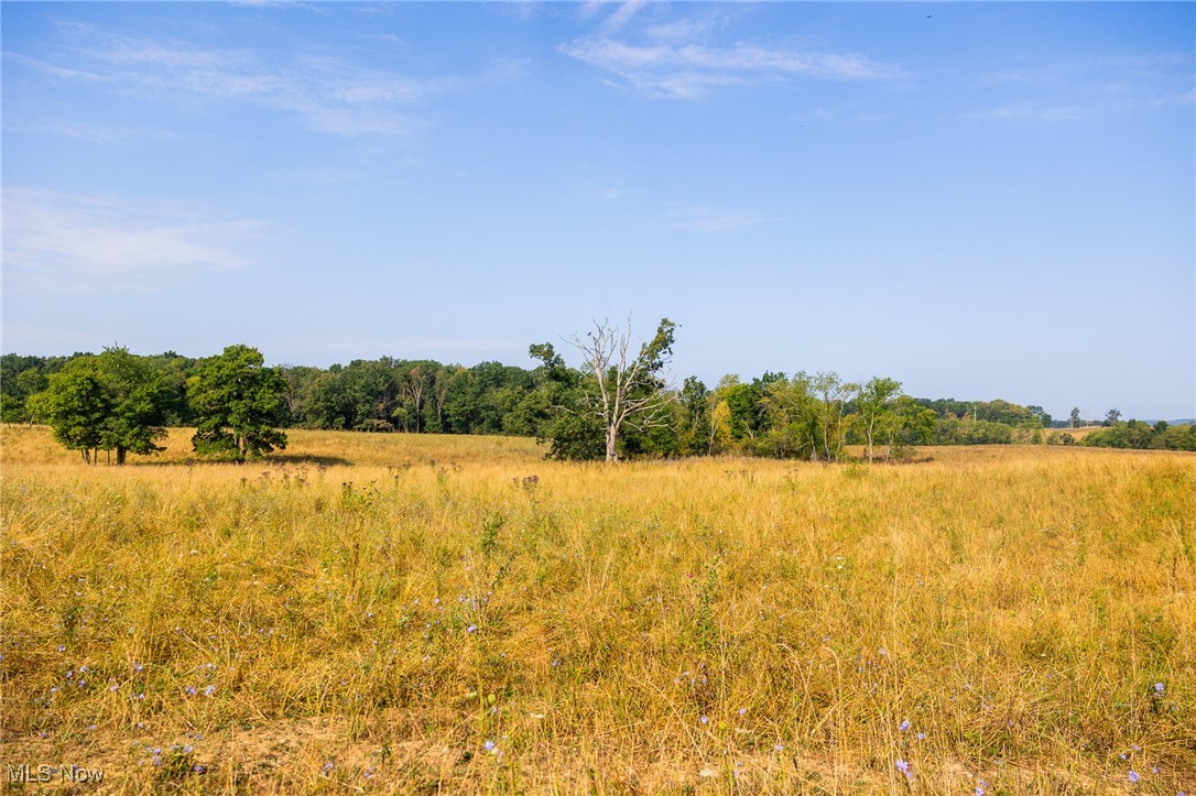 Lewis Road Salineville, OH 43945 - Photo 3 of 14 View of local wilderness with rural landscape