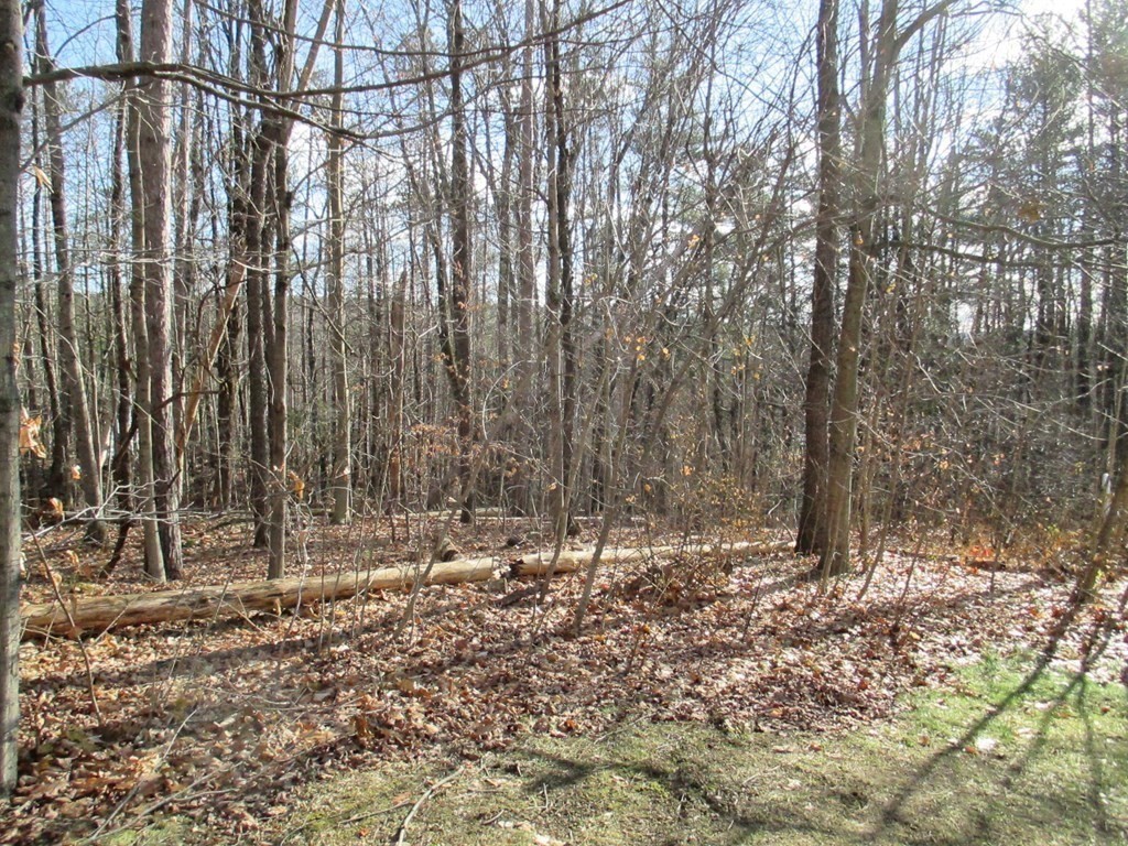 39 Center Street Ashburnham, MA 01430 - Photo 34 of 42 Gallery Image 34