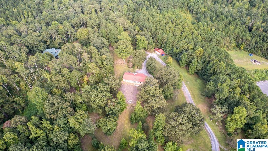 56230 North Highway 231 Oneonta, AL 35121 - Photo 5 of 62