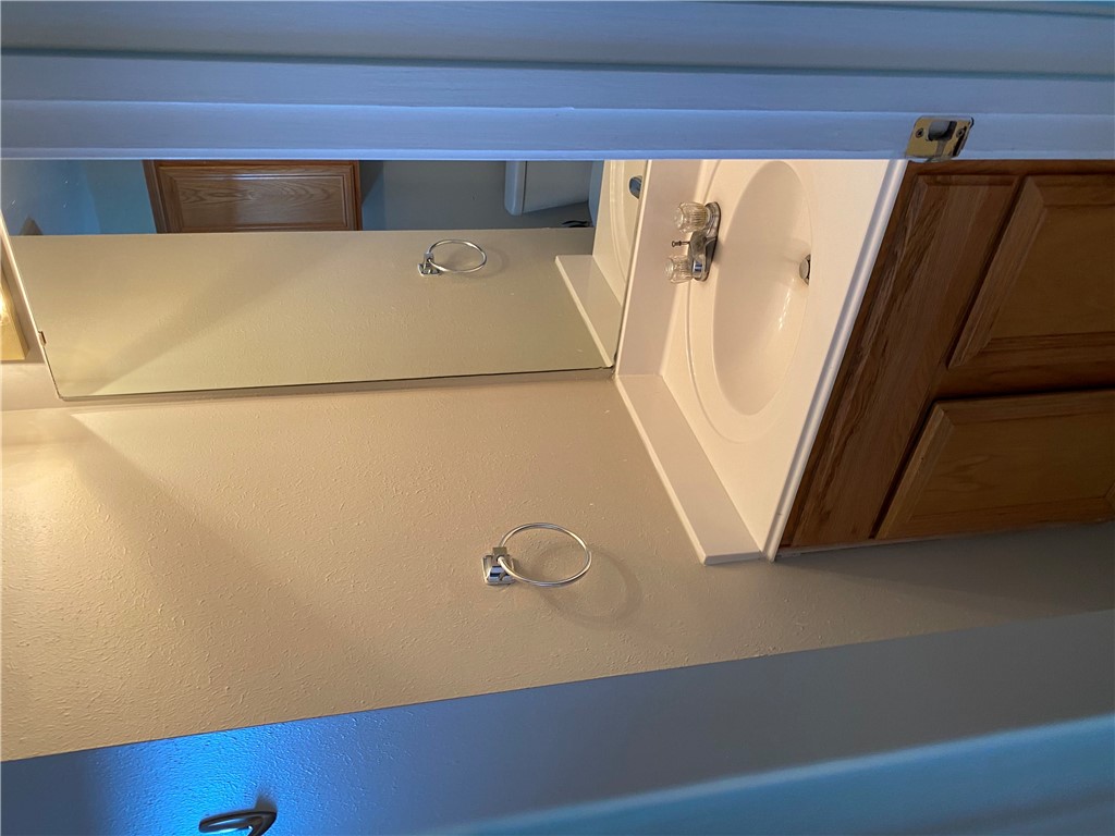 2429 Pintail Loop College Station, TX 77845 - Photo 9 of 20 a bathroom with a sink and mirror