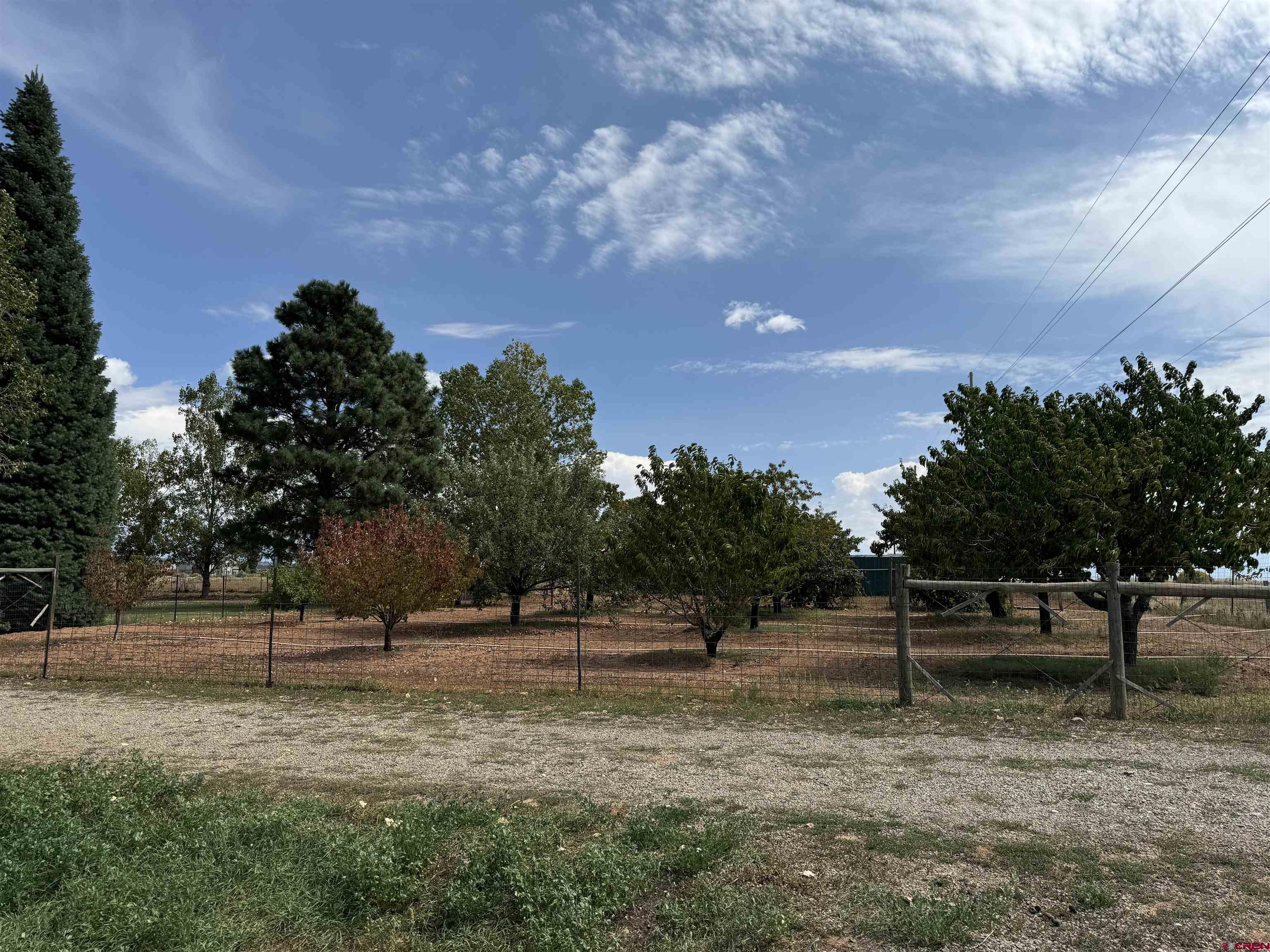 12383 Rd M Cahone, CO 81320 - Photo 36 of 42 a view of outdoor space with trees