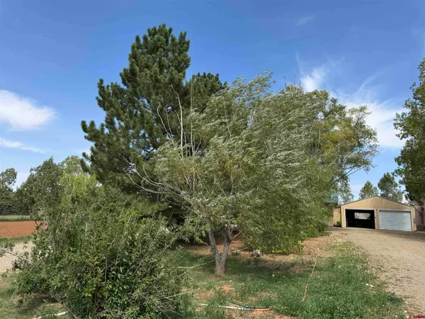 $395,000 | 12383 Rd M, Cahone, CO 81320