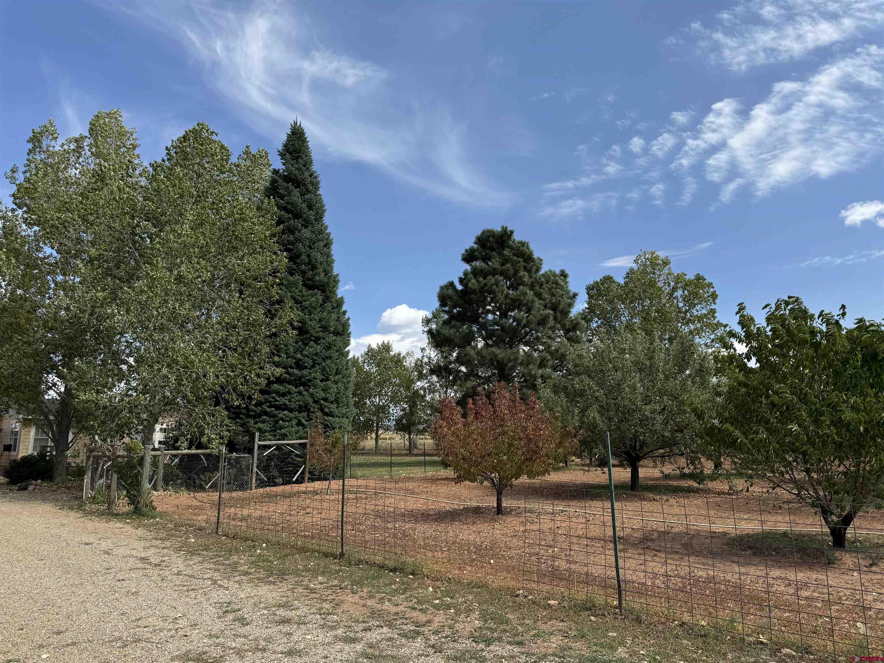 12383 Rd M Cahone, CO 81320 - Photo 42 of 42 a view of a yard with plants