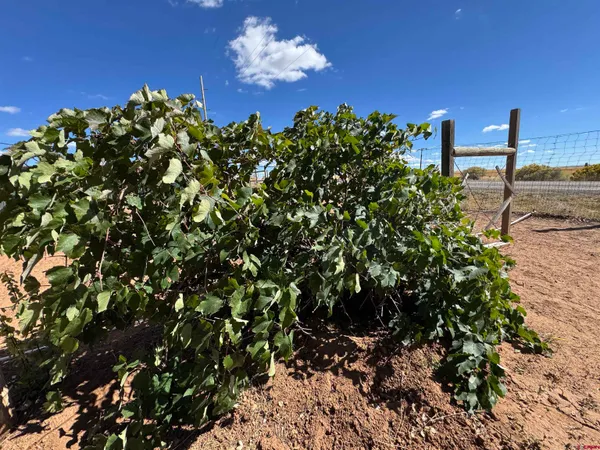 $395,000 | 12383 Rd M, Cahone, CO 81320