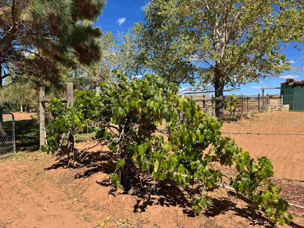 $395,000 | 12383 Rd M, Cahone, CO 81320