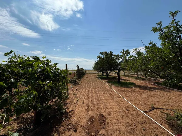 $395,000 | 12383 Rd M, Cahone, CO 81320