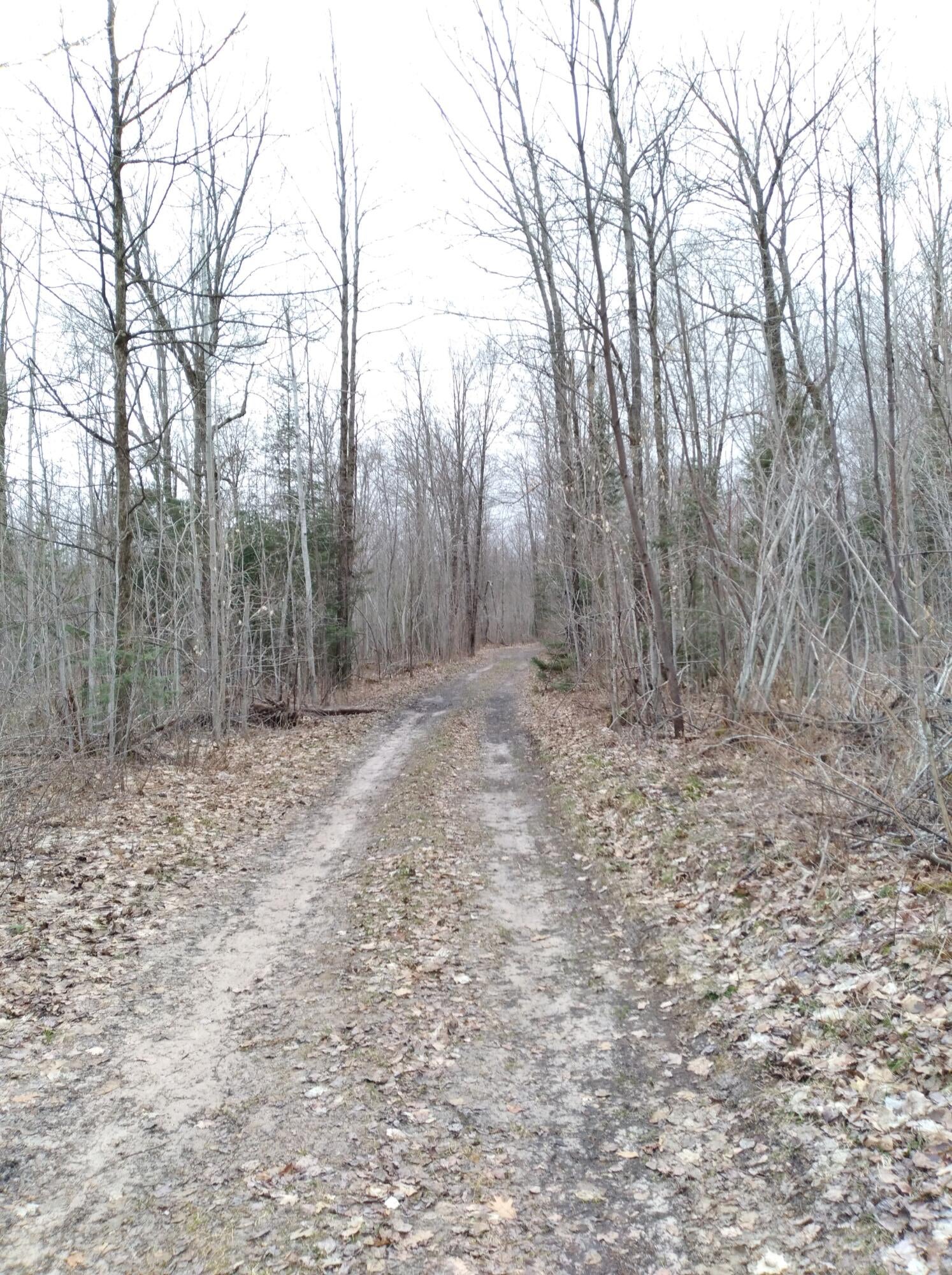 0 East Gogomain Road Pickford, MI 49774 - Photo 15 of 17 Gallery Image 15