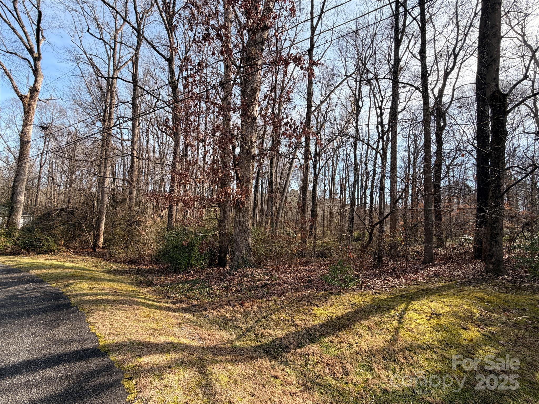 0 Orchard Road Statesville, NC 28677 - Photo 1 of 5 a view of a backyard with trees