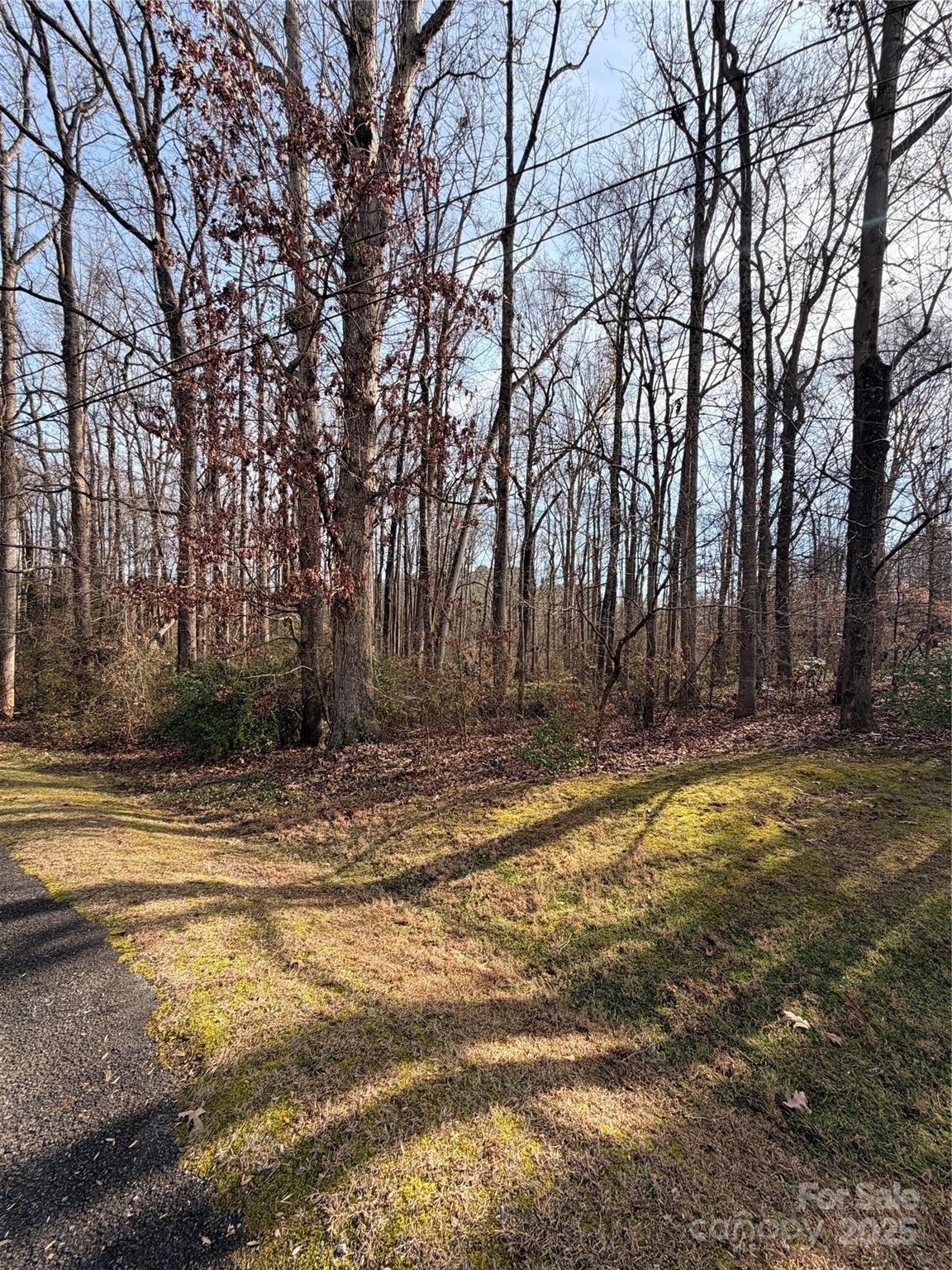 0 Orchard Road Statesville, NC 28677 - Photo 2 of 5 a view of a yard with trees