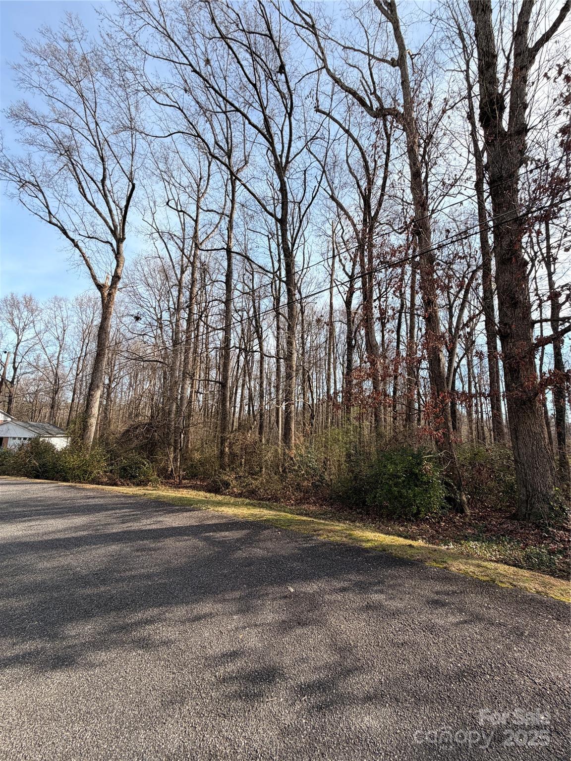 0 Orchard Road Statesville, NC 28677 - Photo 5 of 5 a view of backyard space