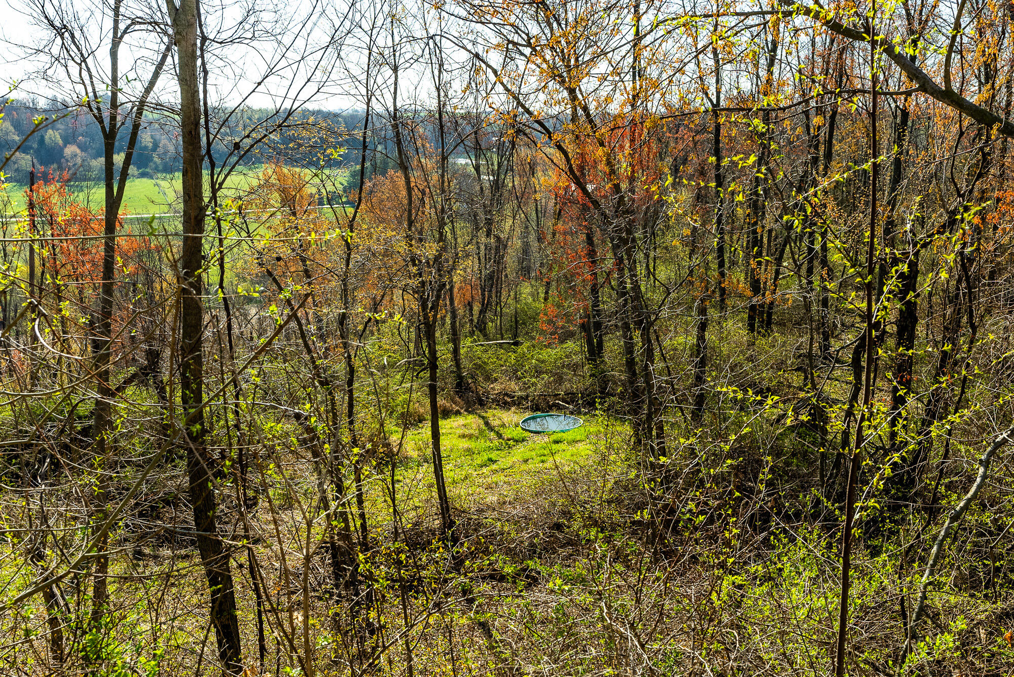 Lt2 Eli Valley Road Hillpoint, WI 53937 - Photo 29 of 47 Sauk-County-WI-53-Acres-Land-For-Sale-29