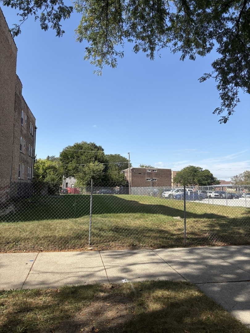 4524 South Michigan Avenue Chicago, IL 60653 - Photo 2 of 3 a view of a road with a big yard and a large tree