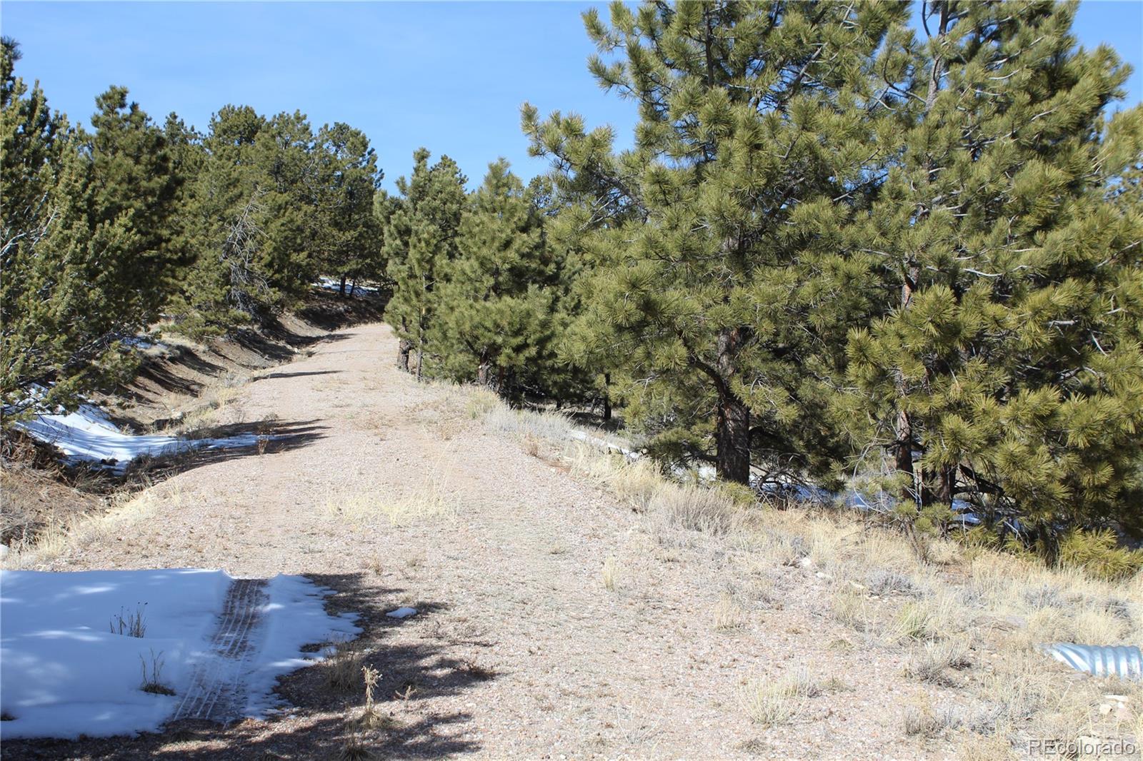1615 Schulze Ranch Road Westcliffe, CO 81252 - Photo 12 of 14