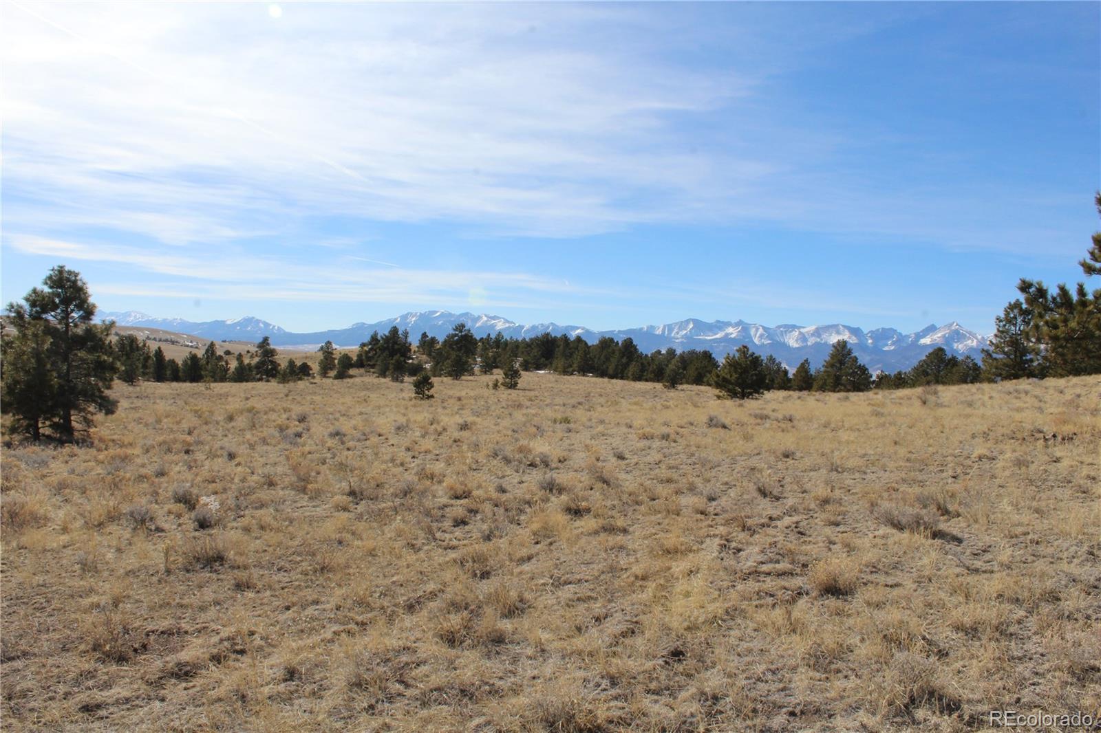 1615 Schulze Ranch Road Westcliffe, CO 81252 - Photo 3 of 14