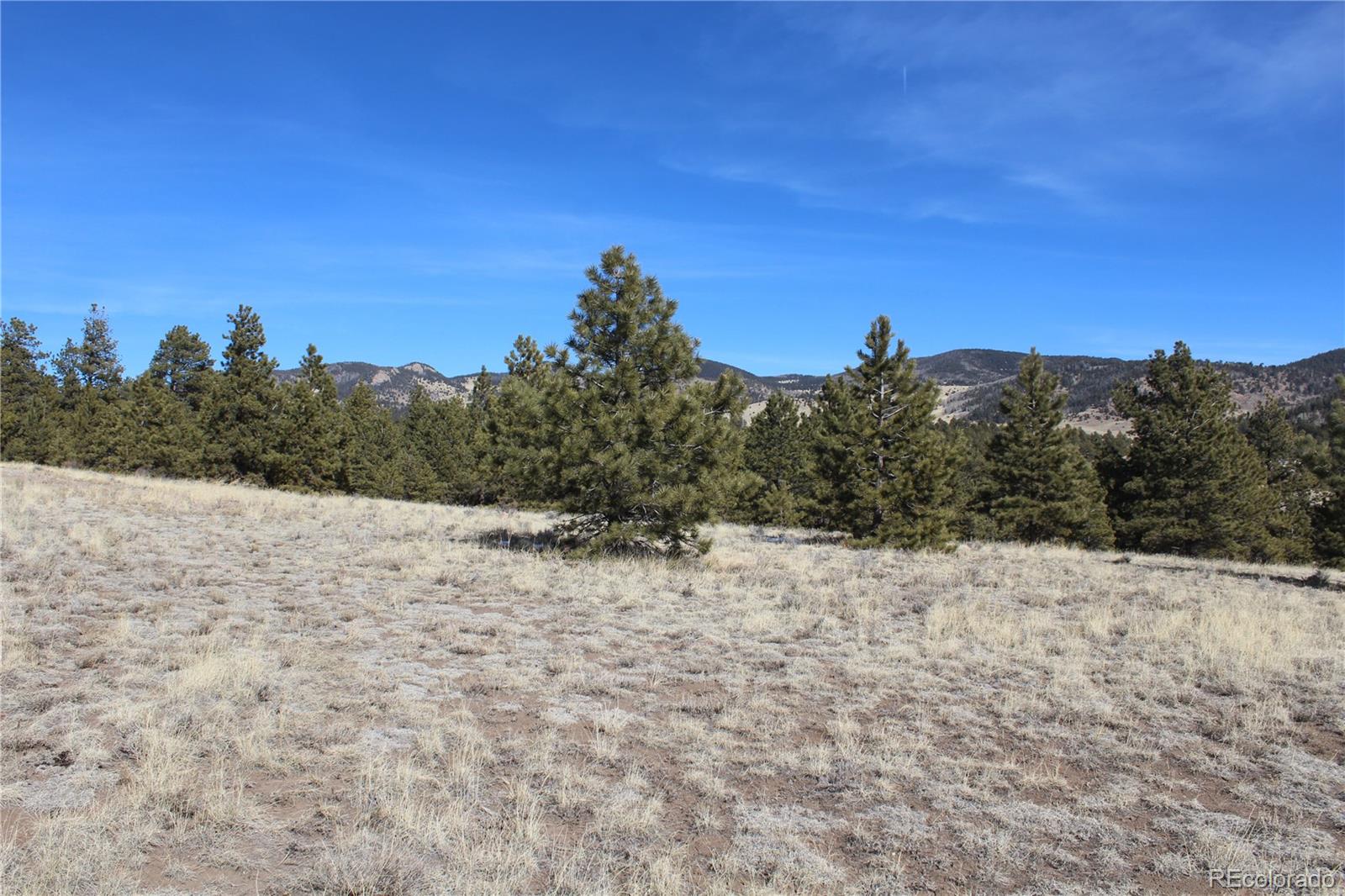 1615 Schulze Ranch Road Westcliffe, CO 81252 - Photo 6 of 14