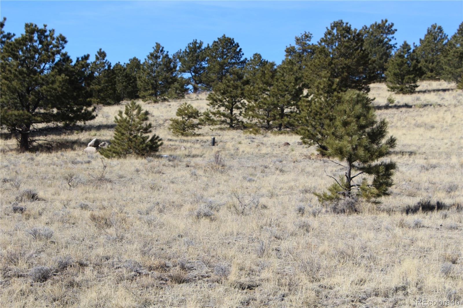 1615 Schulze Ranch Road Westcliffe, CO 81252 - Photo 7 of 14