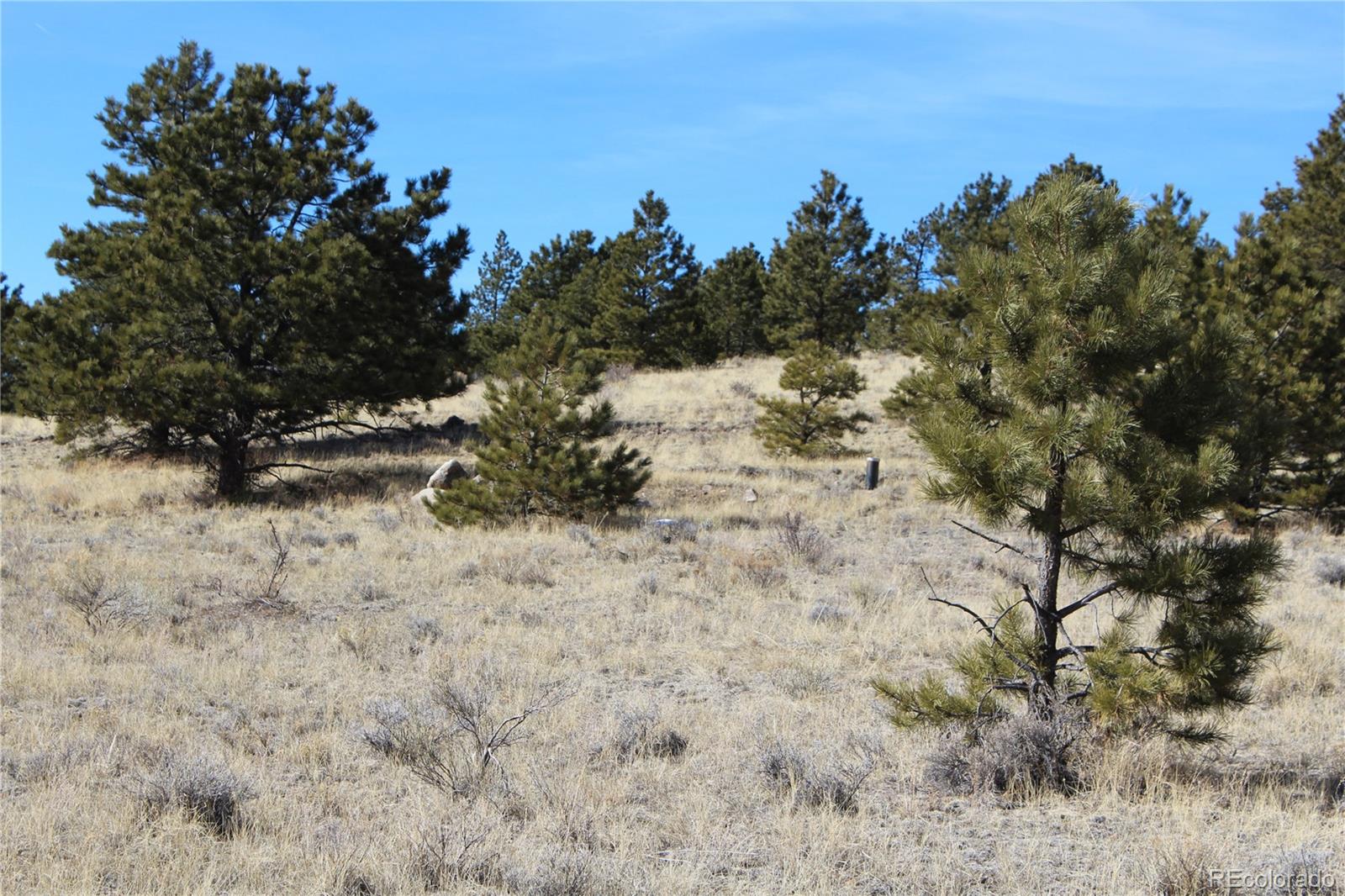 1615 Schulze Ranch Road Westcliffe, CO 81252 - Photo 8 of 14