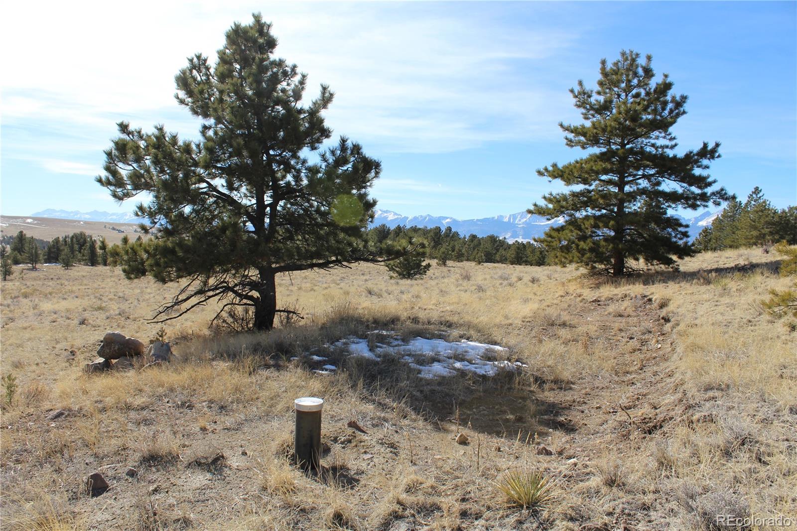 1615 Schulze Ranch Road Westcliffe, CO 81252 - Photo 9 of 14