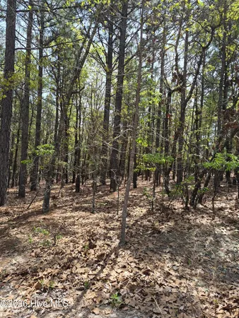 $85,000 | 4 Brassie Lane, Jackson Springs, NC 27281