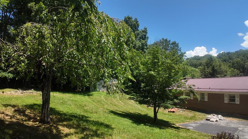 39075 Widener Valley Road Chilhowie, VA 24319 - Photo 54 of 61 Gallery Image 54