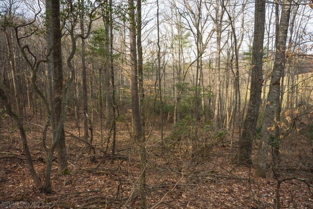 3 Long Mountain Road Southwest Willis, VA 24380 - Photo 50 of 66 Gallery Image 50