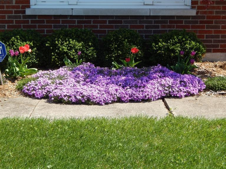 662 Eden Road Lexington, KY 40505 - Photo 2 of 19 Photo 2