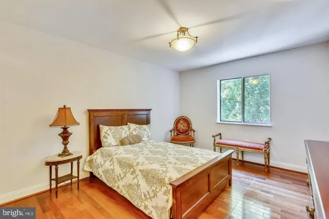 a garden view with a potted plant