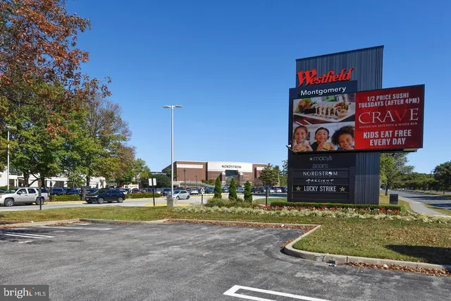 a view of a park with large trees