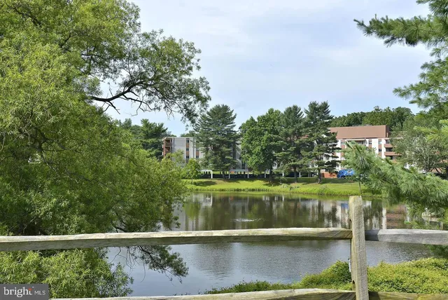 a view of road with large trees