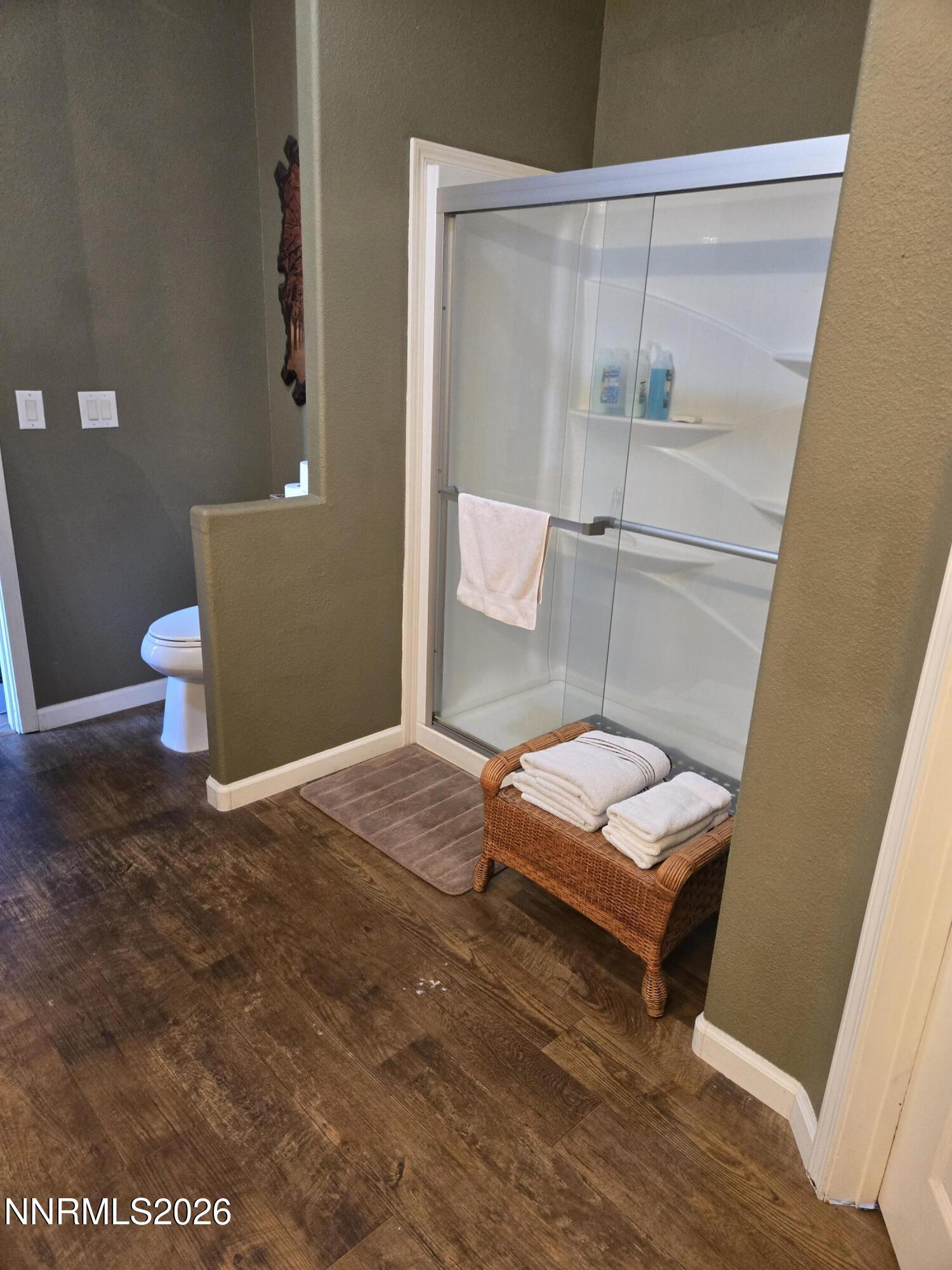 1525 Flint Road Wellington, NV 89444 - Photo 16 of 22 flint primary shower