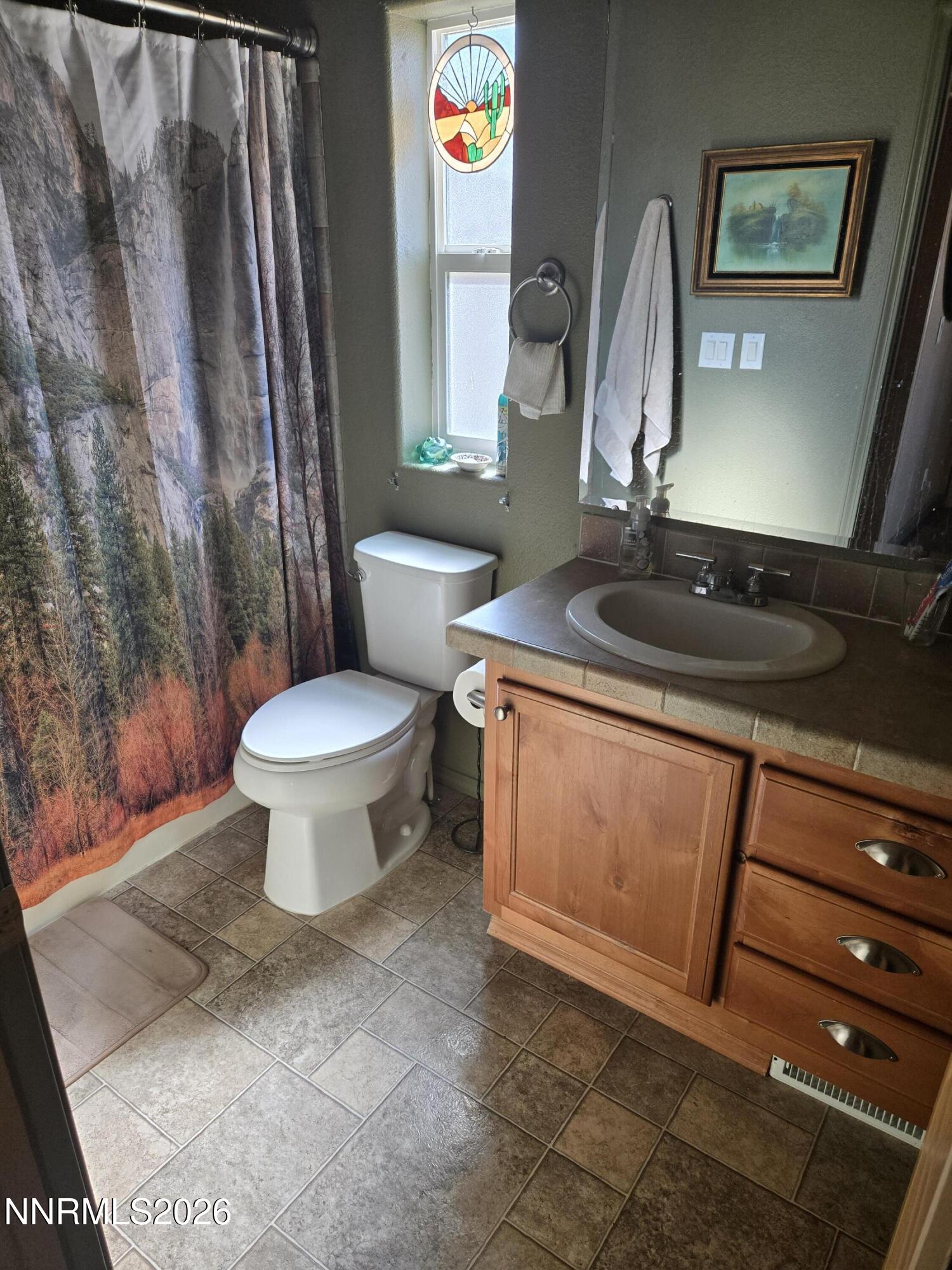 1525 Flint Road Wellington, NV 89444 - Photo 20 of 22 flint guest bath