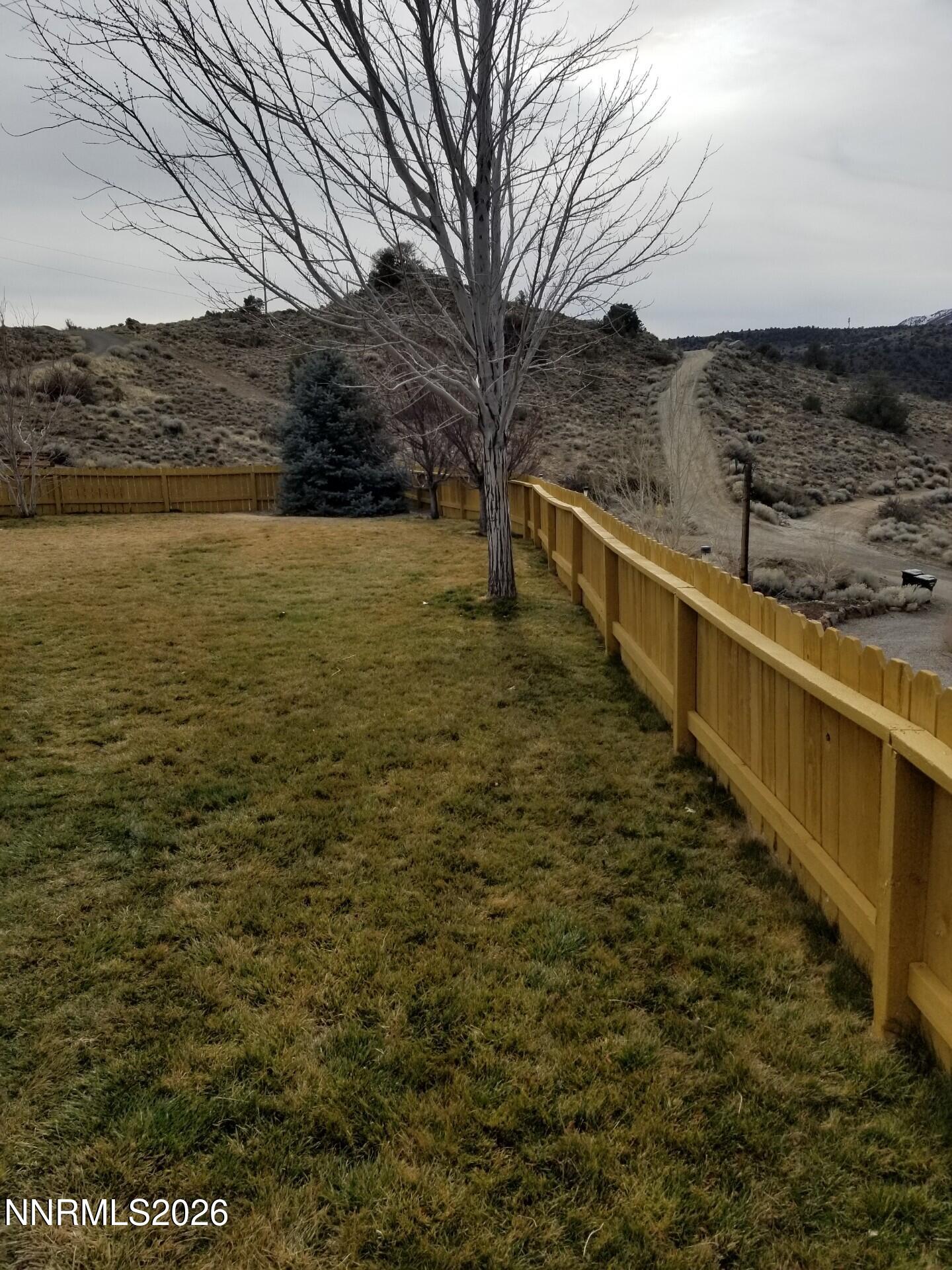1525 Flint Road Wellington, NV 89444 - Photo 7 of 22 lawn