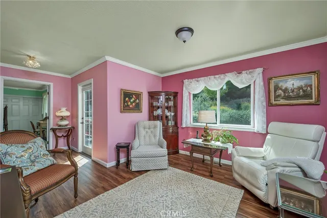 a living room with furniture potted plant and a window