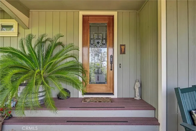 a view of porch with a potted plant and a window
