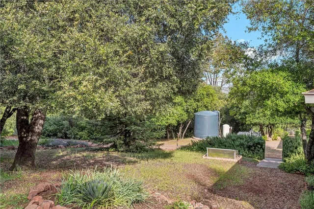 a view of a yard with plants and trees
