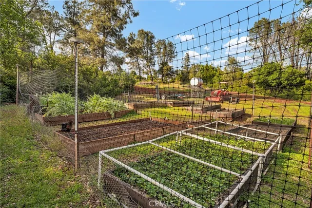 a view of a yard with plants