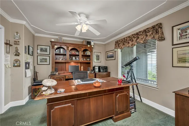 a kitchen with a stove a sink and a refrigerator